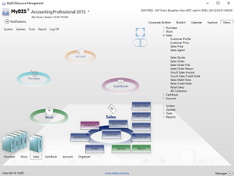 MyBIS Accounting Professional 2013