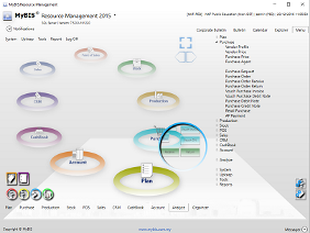 MyBIS Financial Analyzer 2013